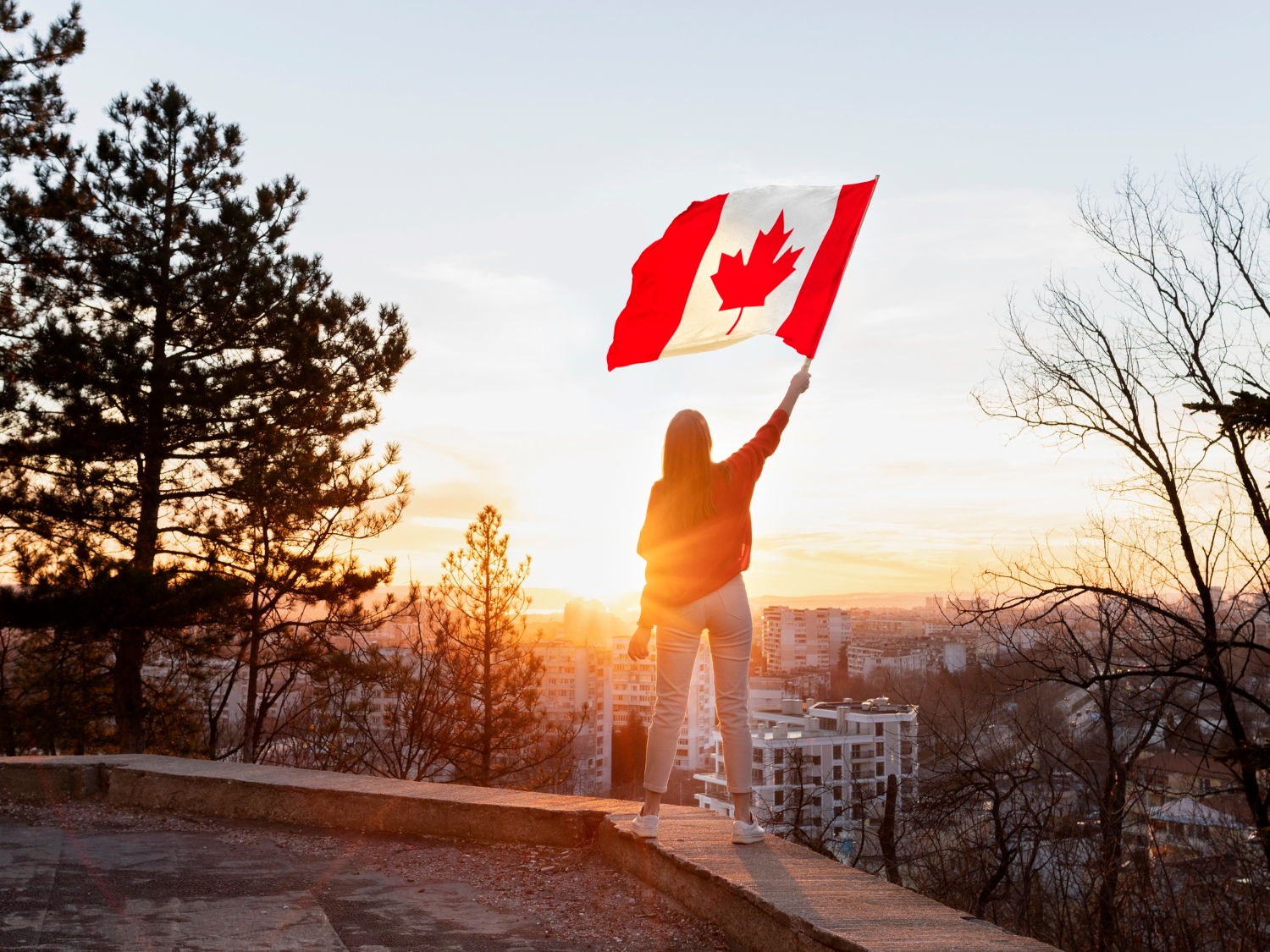Canadian Work Permit: Your Gateway to Professional Success
